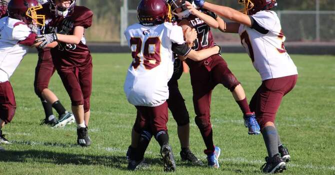 Sports Chiropractic: Keeping C-I Athletes Healthy and Moving image