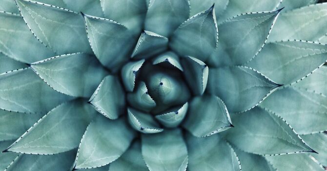 Head Up, Shoulders Back—Your Happiness Depends on It! image